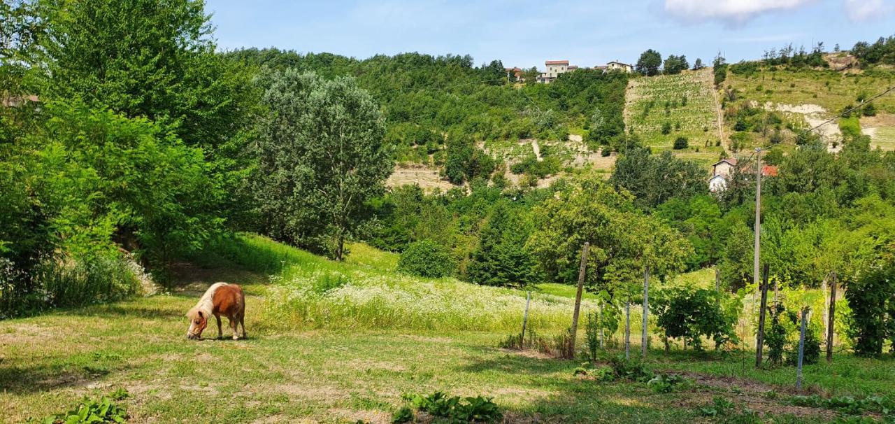 Agriturismo Il Burlino Apartments Lerma Экстерьер фото